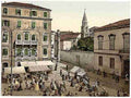 Vintage Zara Erbe Square Dalmatia A4 Photo Print