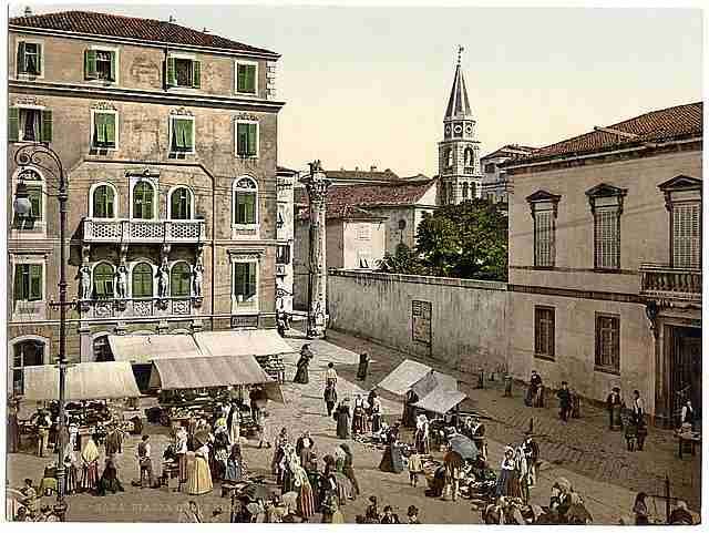 Vintage Zara Erbe Square Dalmatia A4 Photo Print