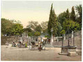 Vintage Zara Icinque Wells Dalmatia A4 Photo Print