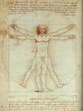 Vitruvian Man EUR Leonardo da Vinci  A4 Photo Print