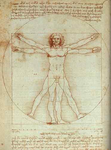 Vitruvian Man EUR Leonardo da Vinci  A4 Photo Print