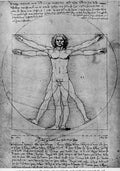 Vitruvian Man Eur Art A4 Photo Print