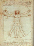 Vitruvian Man Eur A4 Photo Print