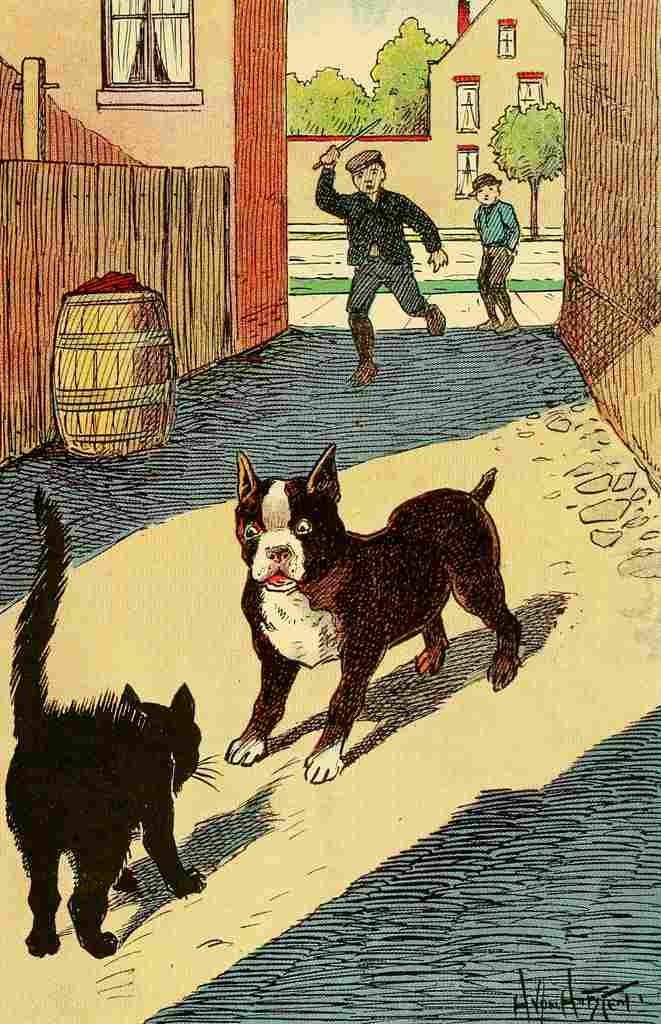 Von Hofsten Hugo Dogs 1908 Cat confrontation A4 Photo Print