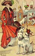 Von Hofsten Hugo Dogs 1908 Dog show A4 Photo Print