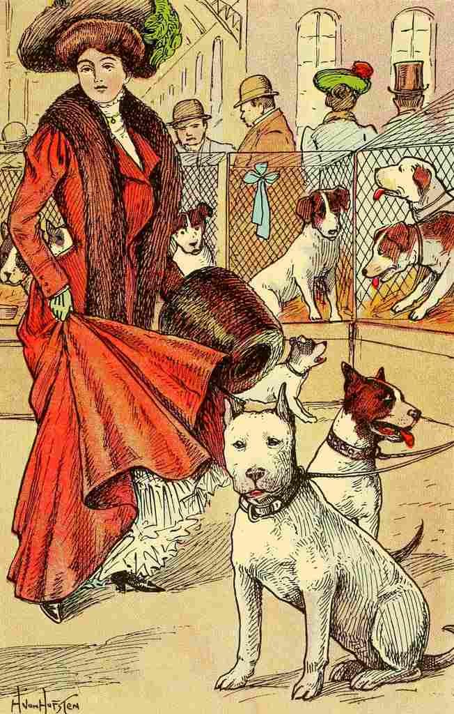 Von Hofsten Hugo Dogs 1908 Dog show A4 Photo Print