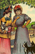 Von Hofsten Hugo Dogs 1908 Which ones the prettiest A4 Photo Print