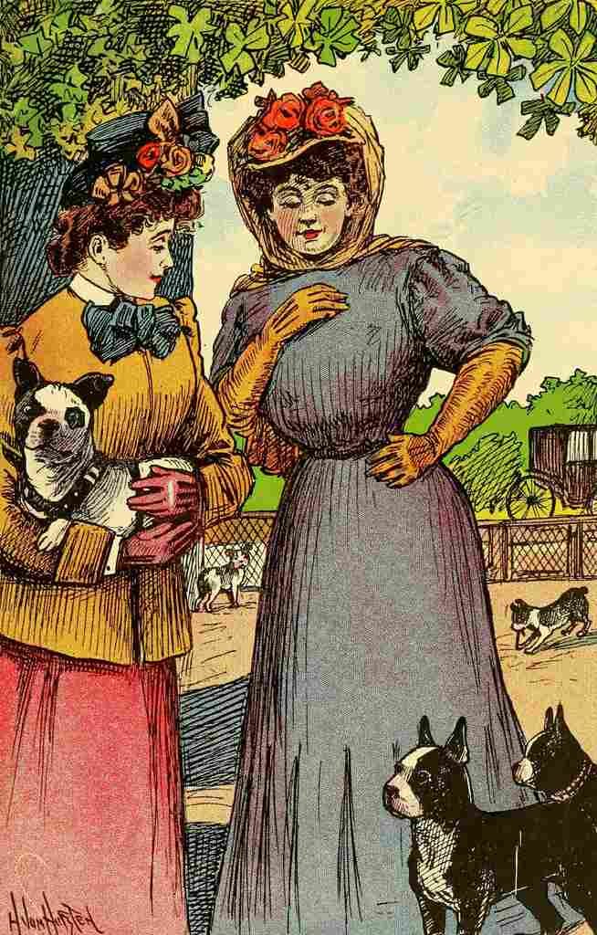 Von Hofsten Hugo Dogs 1908 Which ones the prettiest A4 Photo Print