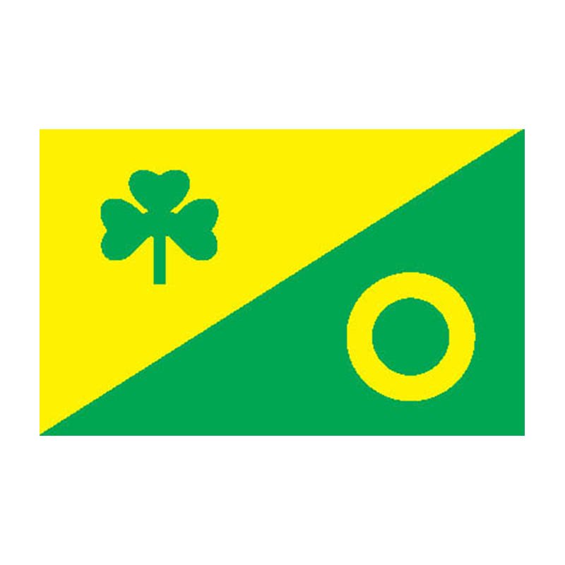 Voru Vald Flag N2812 A4 Photo Print