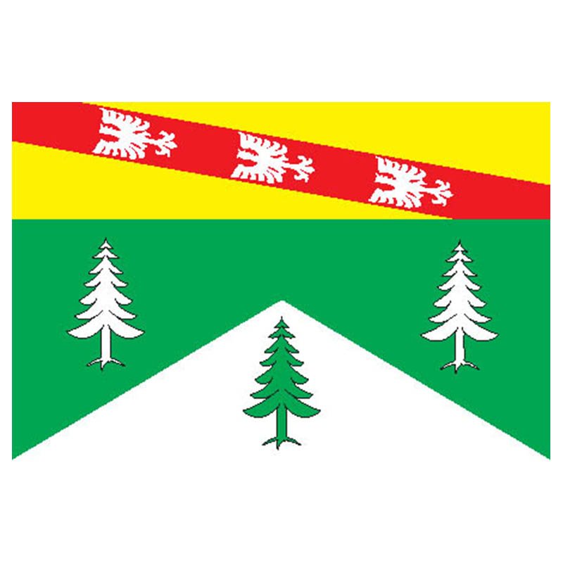 Vosges Dep Flag N2993 A4 Photo Print