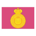 Voskresensk City Flag N6448 A4 Photo Print