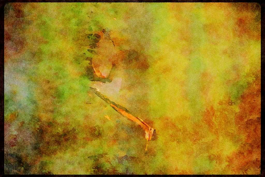 Wading Birds 289007 Purple Heron A4 Limited Edition Watercolour Print