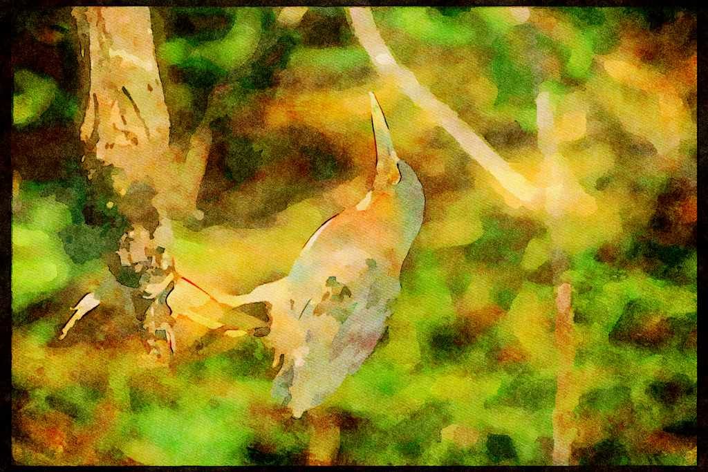 Wading Birds 289009 Green Heron A4 Limited Edition Watercolour Print