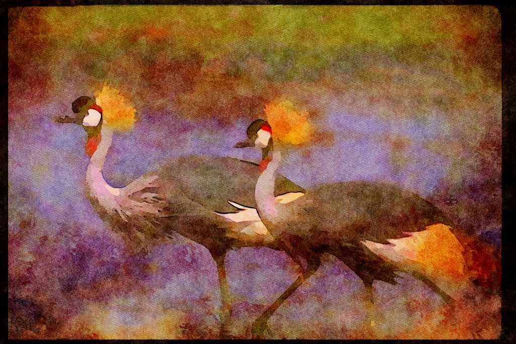 Wading Birds 289013 Crowned Cranes A4 Limited Edition Watercolour Print