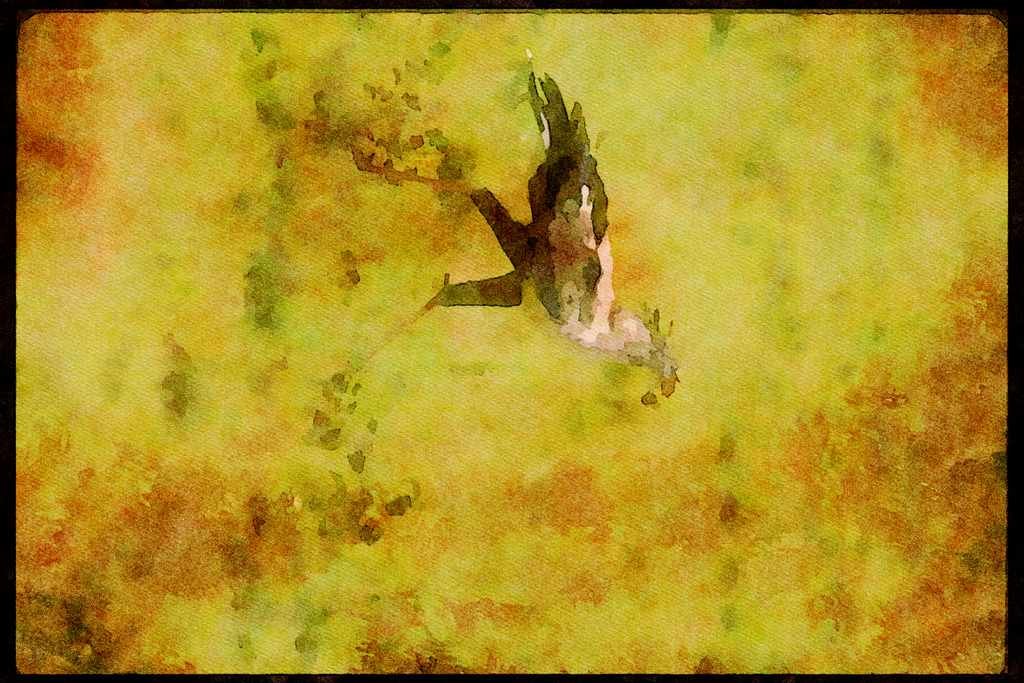 Wading Birds 289015 Secretary Bird, Carrying Stone A4 Limited Edition Watercolour Print