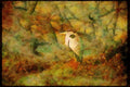 Wading Birds 289022 Grey Heron A4 Limited Edition Watercolour Print