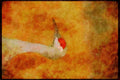 Wading Birds 289026 Lesser Sandhill Crane A4 Limited Edition Watercolour Print
