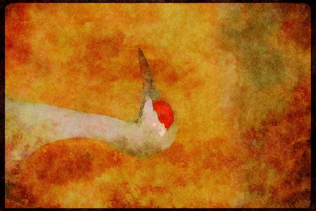Wading Birds 289026 Lesser Sandhill Crane A4 Limited Edition Watercolour Print