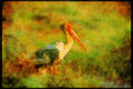 Wading Birds 289033 Adult Painted Stork A4 Limited Edition Watercolour Print