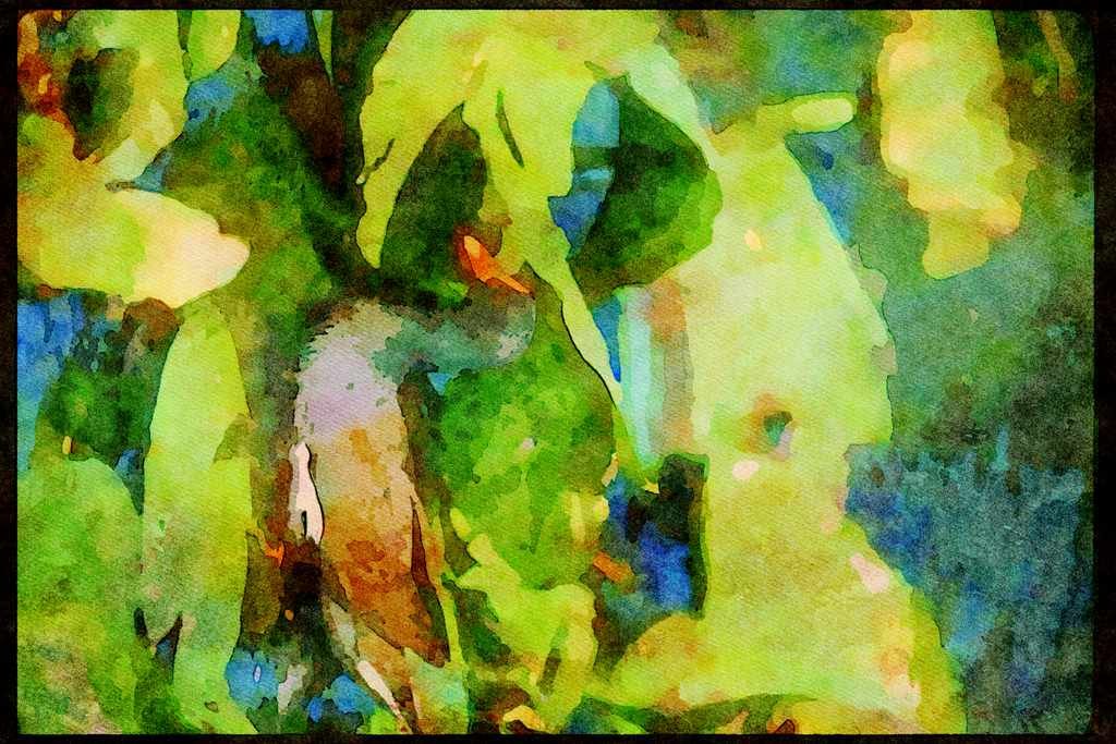 Wading Birds 289039 Common Gallinule A4 Limited Edition Watercolour Print