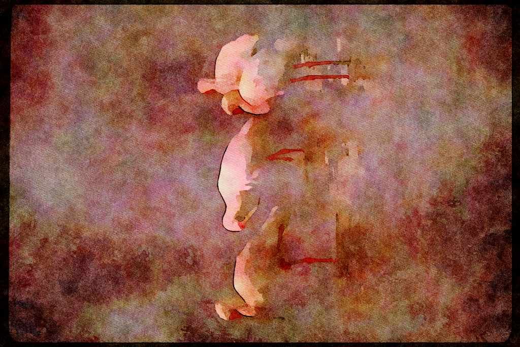 Wading Birds 289045 African Spoonbills A4 Limited Edition Watercolour Print