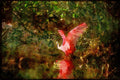Wading Birds 289058 Roseate Spoonbill, Fishing A4 Limited Edition Watercolour Print