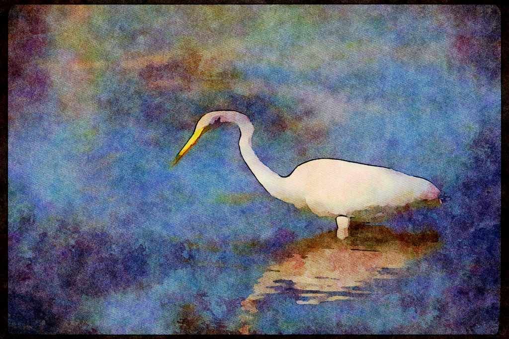 Wading Birds 289065 Great Egret A4 Limited Edition Watercolour Print