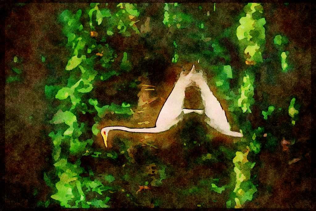 Wading Birds 289066 Great Egret A4 Limited Edition Watercolour Print