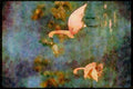 Wading Birds 289069 Whistling Swans, On Ice A4 Limited Edition Watercolour Print