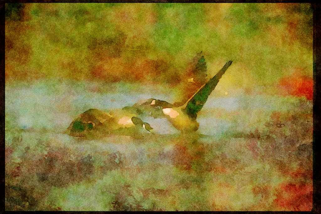 Wading Birds 289078 Canada Goose, Chasing Others Away From Its Territory A4 Limited Edition Watercolour Print