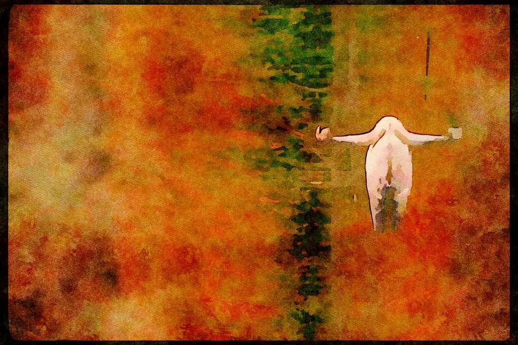 Wading Birds 289085 Trumpeter Swan A4 Limited Edition Watercolour Print