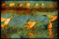 Wading Birds 289096 Snow Geese, Dropping In A4 Limited Edition Watercolour Print