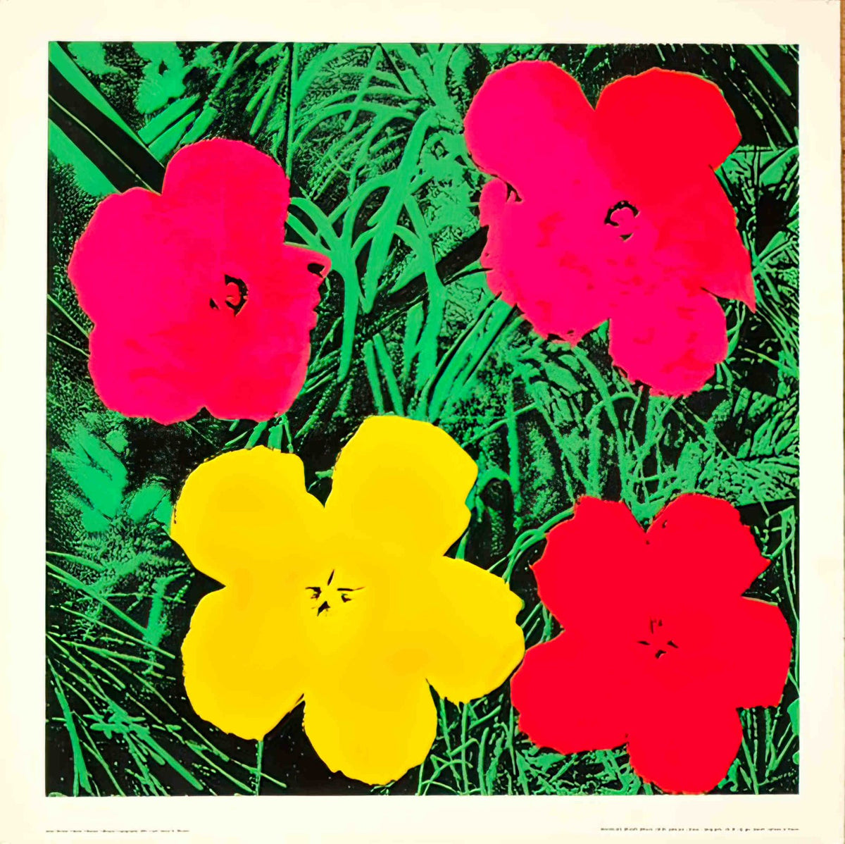 WahorlFlowerRed Advert A4 Photo Print