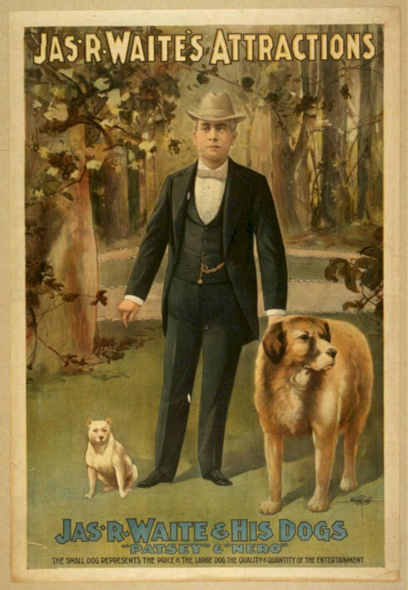 Waite Dogs Nero Vintage Retro Advert Poster A4 Photo Print