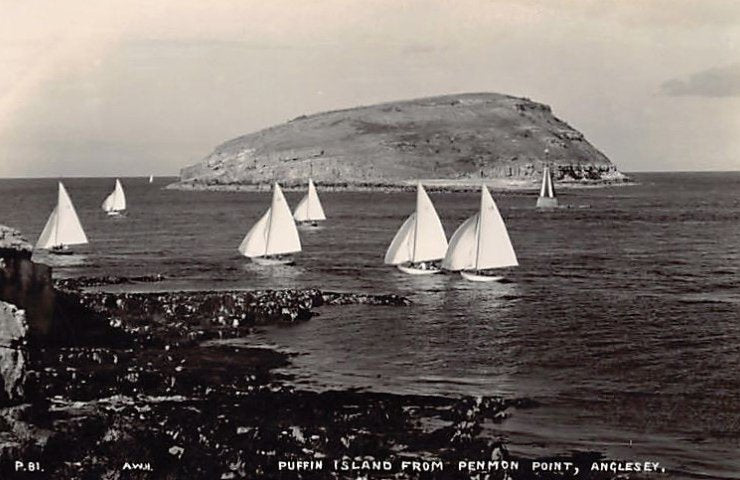 Wales Anglesey Anglesey Puffin Island From Penmon Point Vintage A4 Photo Print