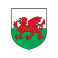 Wales Coat Of Arms N3971 A4 Photo Print