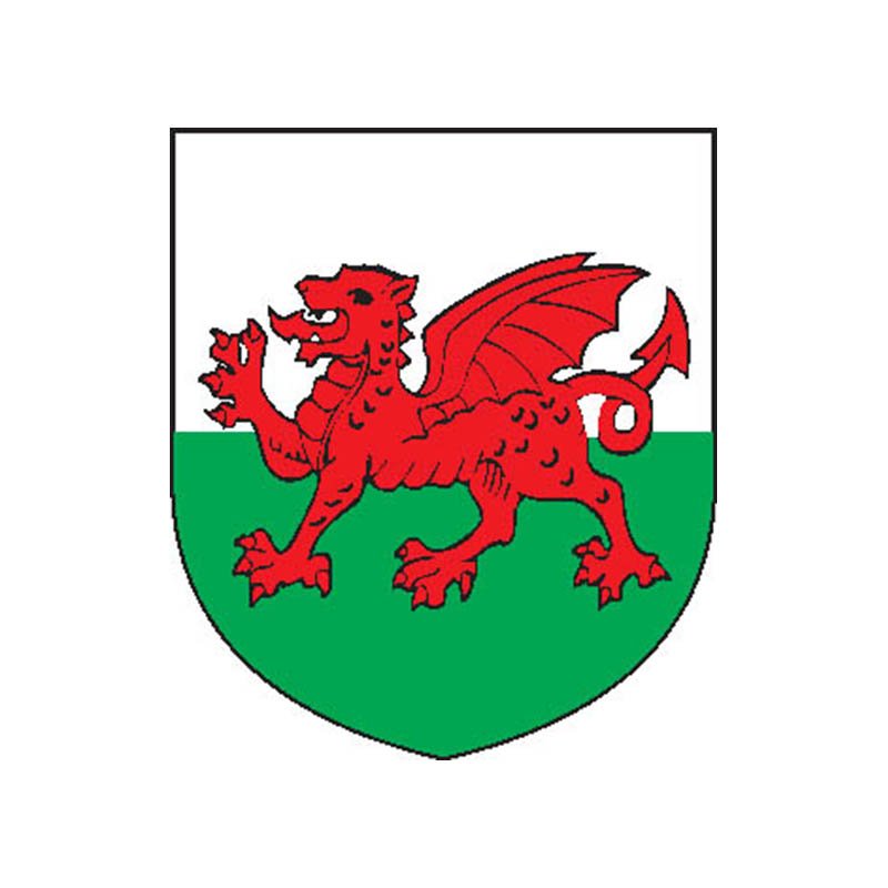 Wales Coat Of Arms N3971 A4 Photo Print