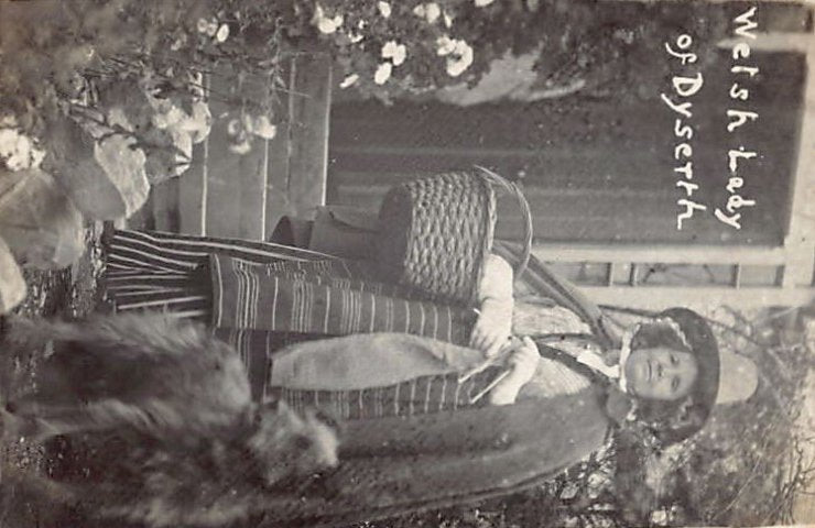 Wales Dyserth Welsh Woman Vintage A4 Photo Print
