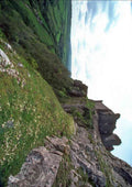 Wales UK GB 095051 Carreg Cennen Castle A4 Photo Print