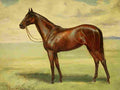 Walker John Hanson Horse 1911 Minoru A4 Photo Print
