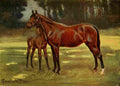 Walker John Hanson Horse 1911 Perdita with Persimmon A4 Photo Print