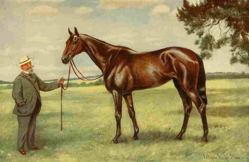 Walker John Hanson Horse 1911 Signorinetta A4 Photo Print
