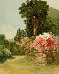 Wallis Rosa 1857 1930 The Studio 1902 A4 Photo Print