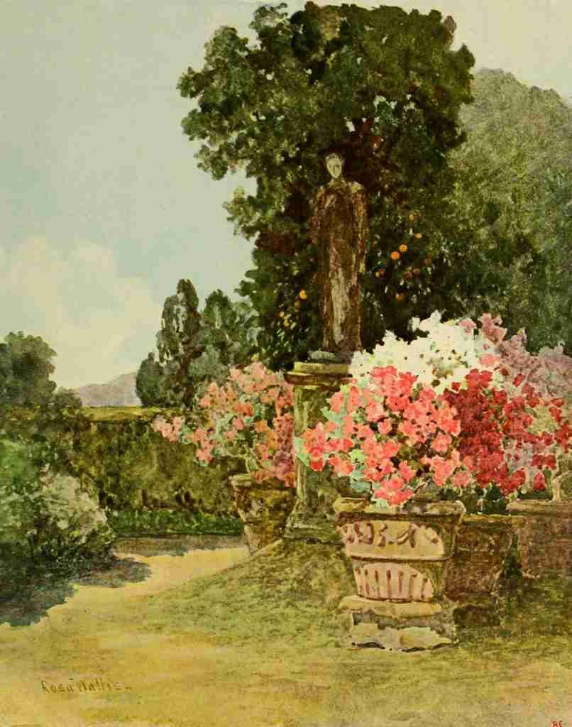 Wallis Rosa 1857 1930 The Studio 1902 A4 Photo Print