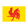 Wallonia Reg Flag N6197 A4 Photo Print