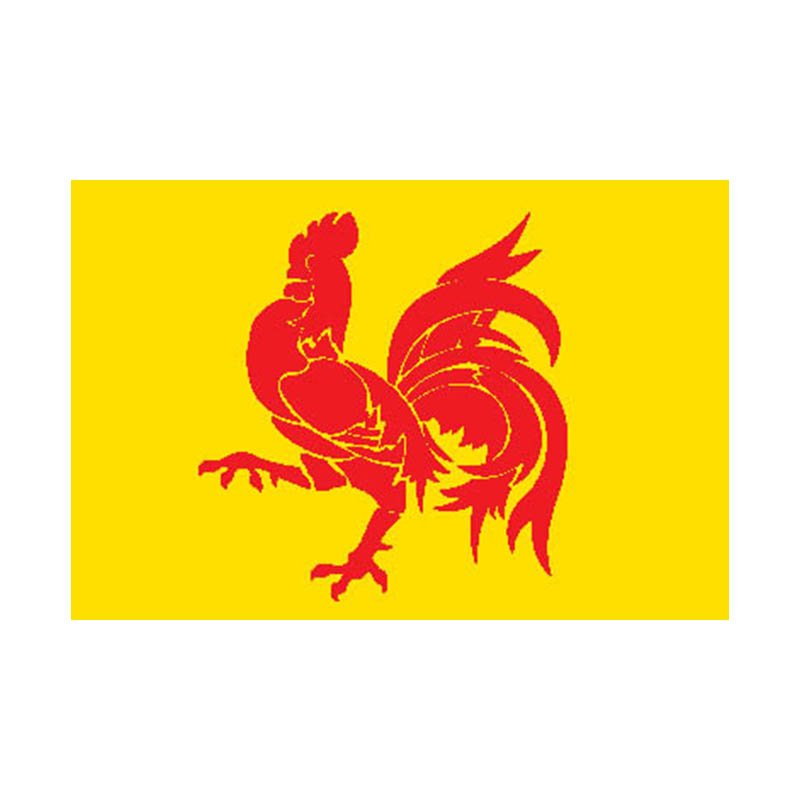 Wallonia Reg Flag N6197 A4 Photo Print