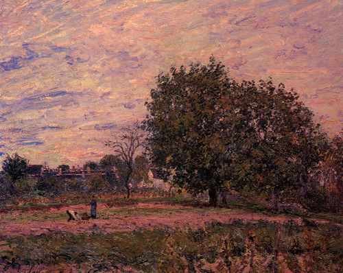Walnut Trees Sunset 5 Early Days Of October A4 Photo Print