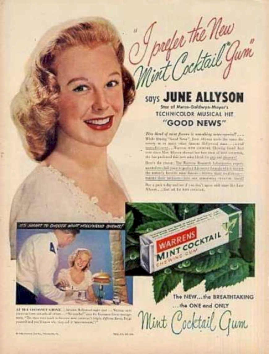 Warrens Mint Gum Vintage Retro Advert Ads A4 Photo Print