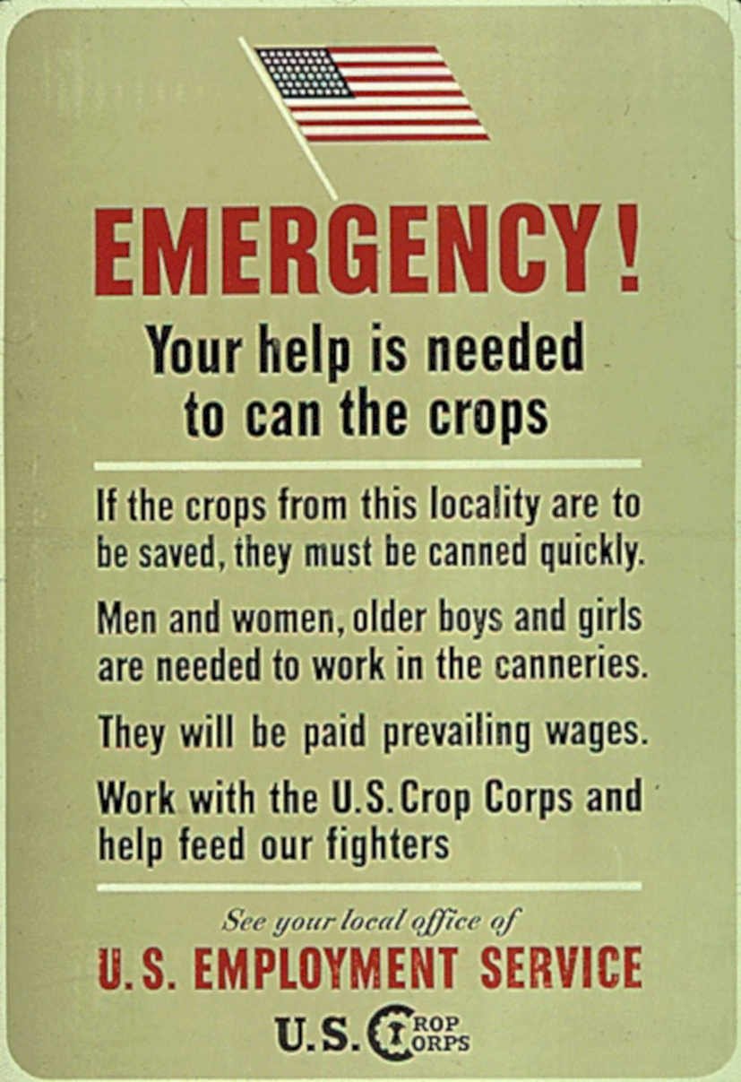 Wartime Crops Help Vintage Retro Advert Poster A4 Photo Print