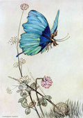 Warwick Goble Vol 2 009 A4 Photo Print
